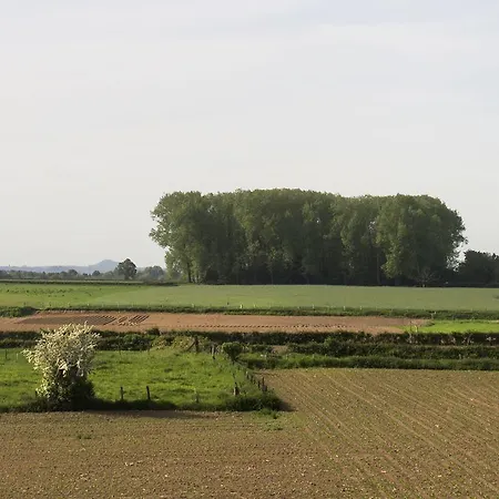 Restaurant In Den Hoof