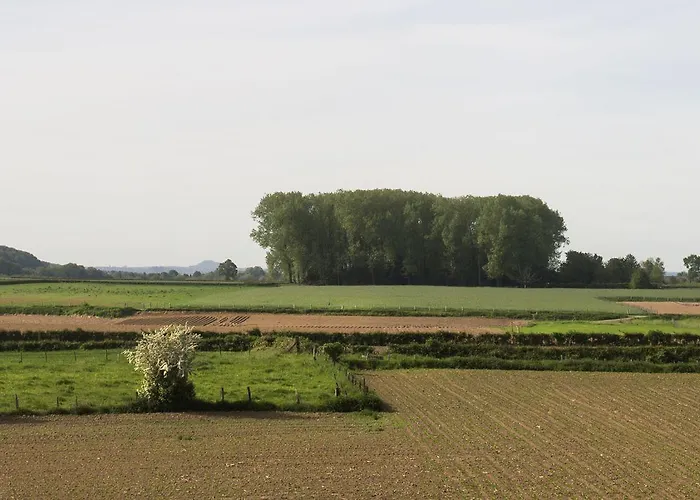 Restaurant In Den Hoof