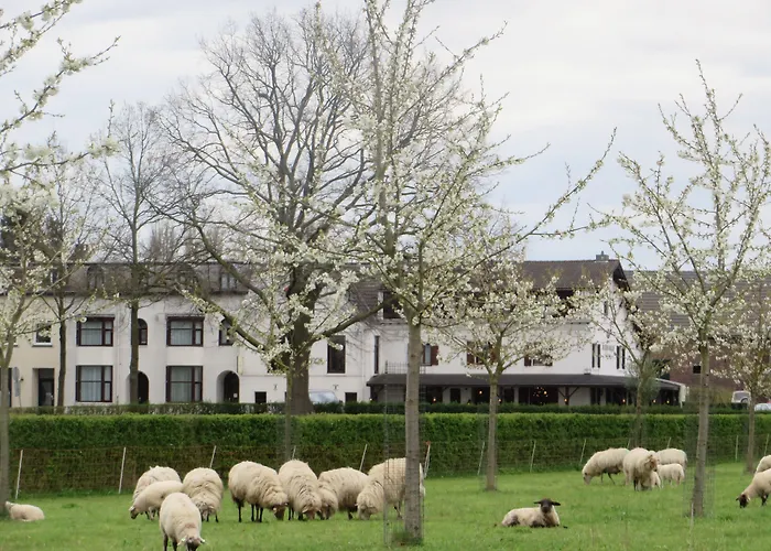 Restaurant In Den Hoof فندق ماسترخت